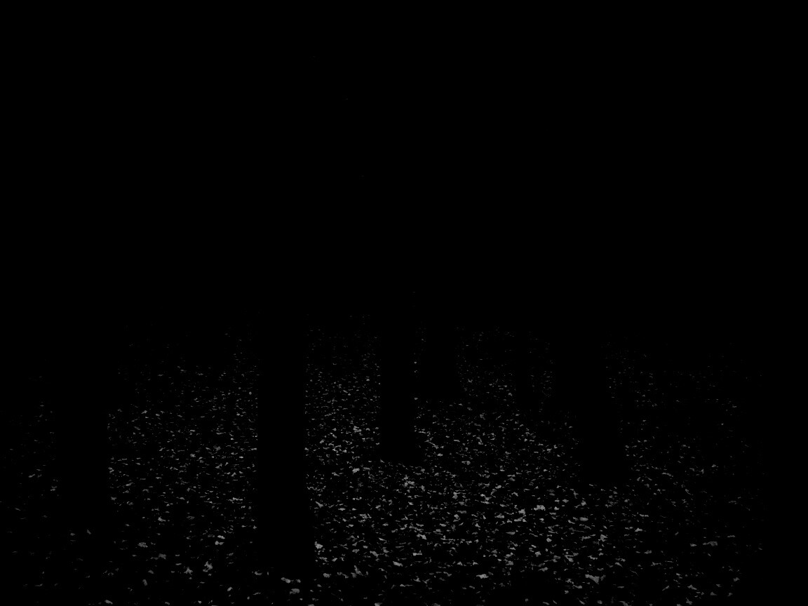 Таинственный лес обои