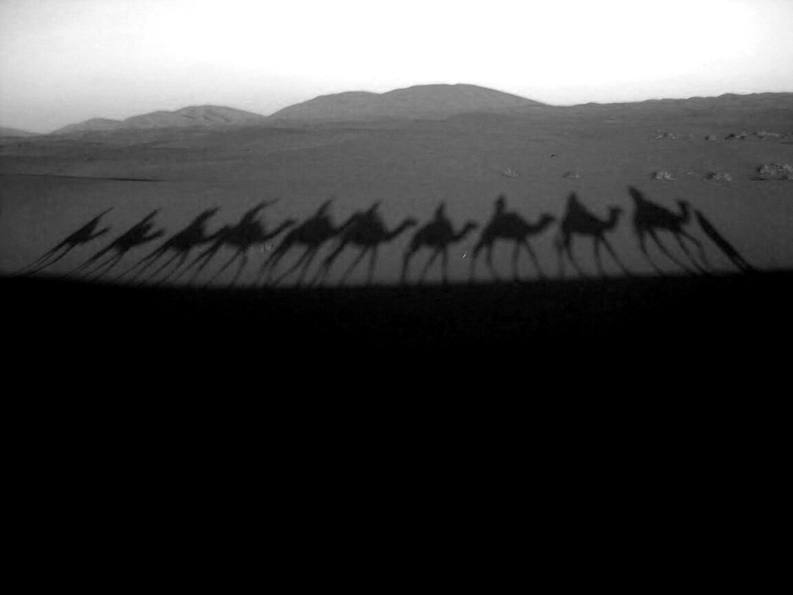 Караван обои