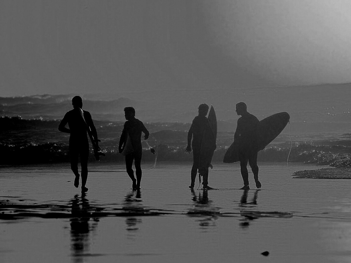 Серфингисты обои