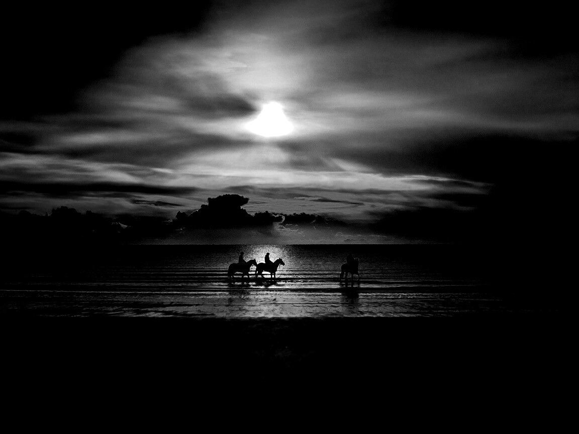 Наездники на закате обои