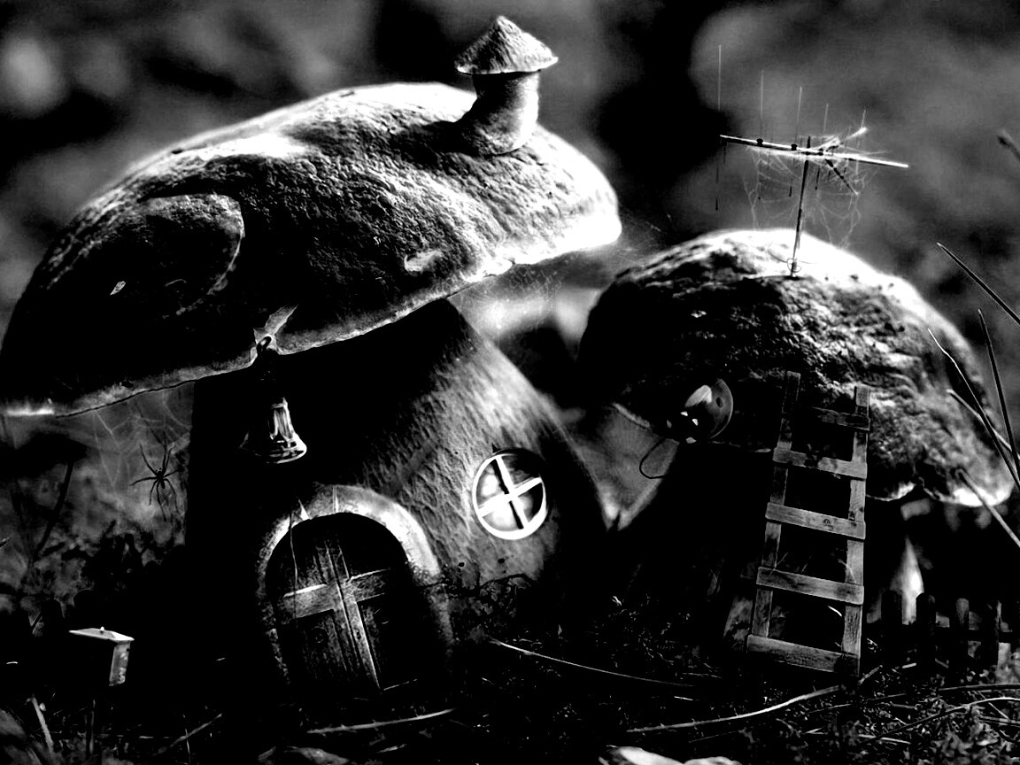 Грибы домики обои