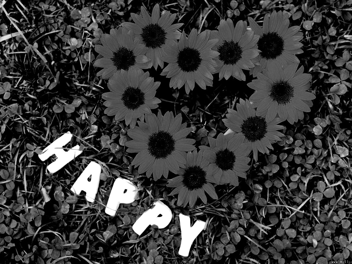 Радость обои