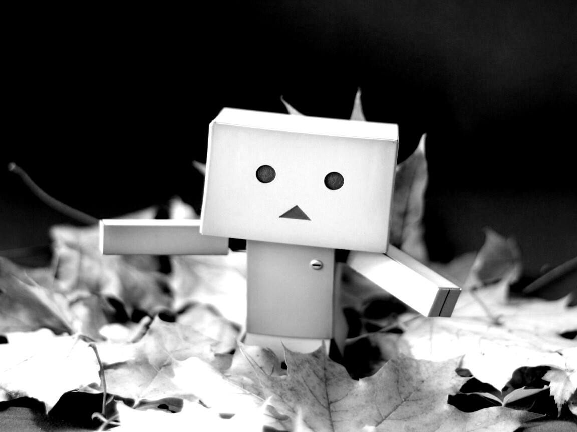  Yotsubato Danbo резвится листьях обои