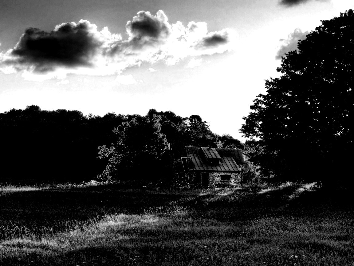 Домик в лесу обои