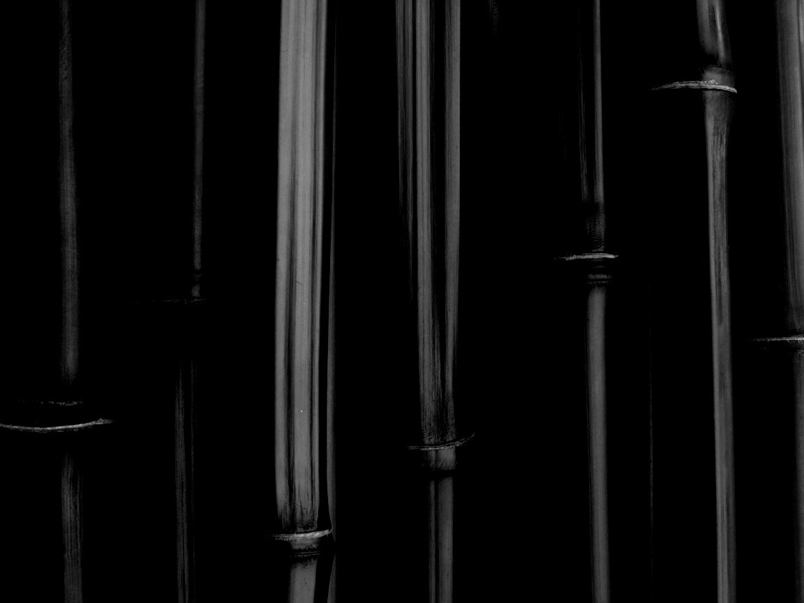 Бамбуковая роща обои