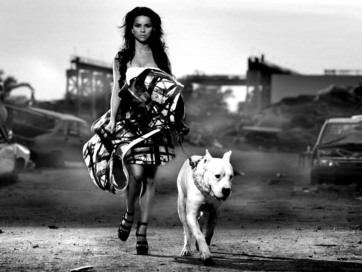 Девушка с питбулем обои