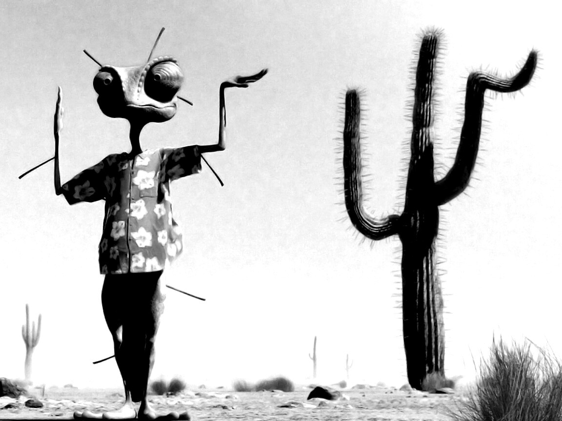 Ранго и кактус обои