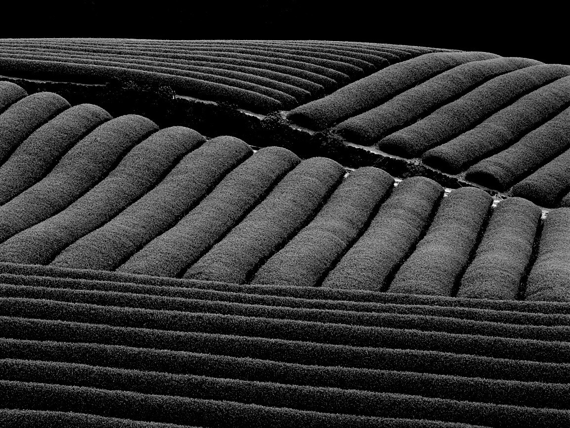 Красивые гряды обои