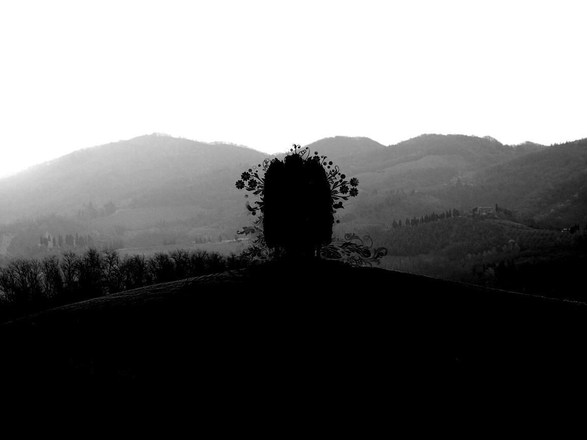 Деревья на холме обои