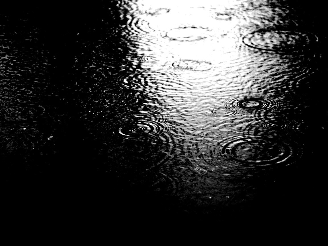 Дождь обои