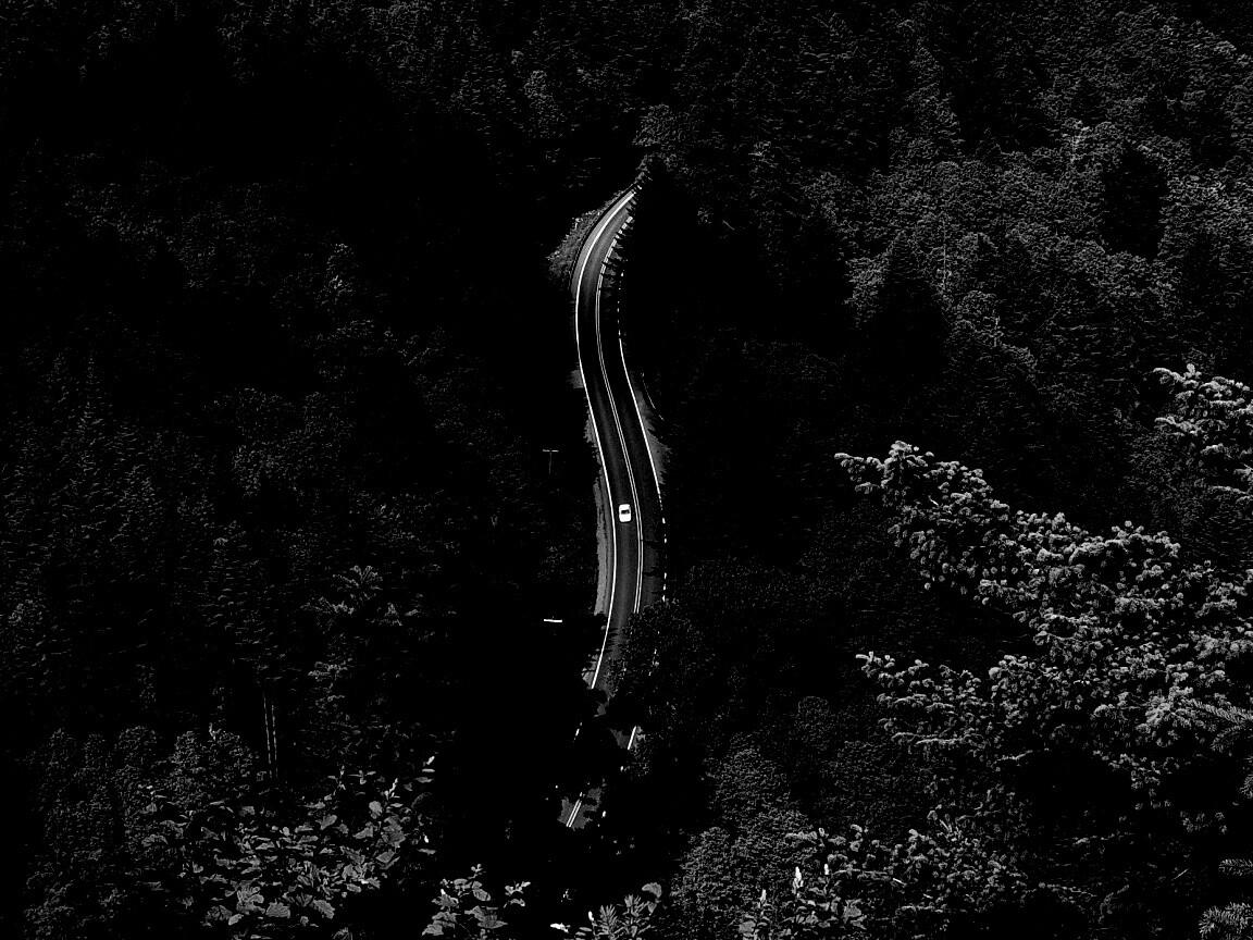 Лесная трасса обои