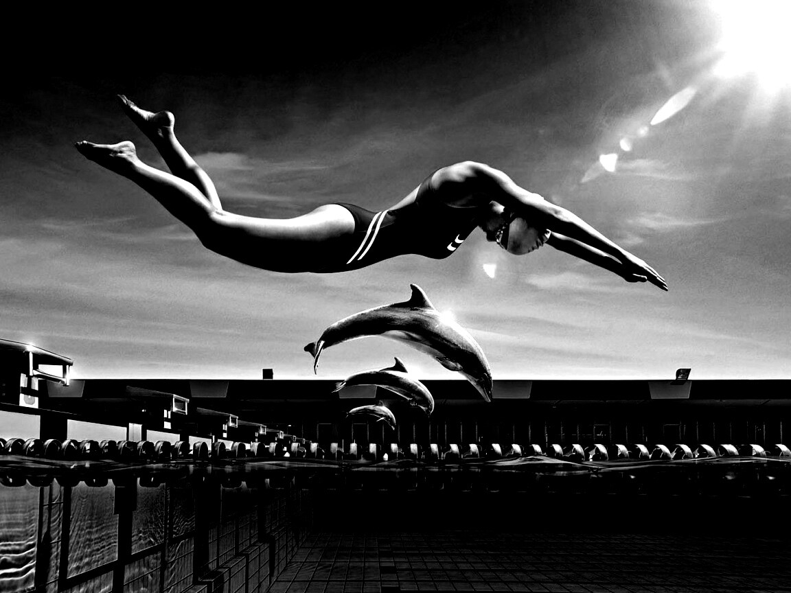 Соревнование обои