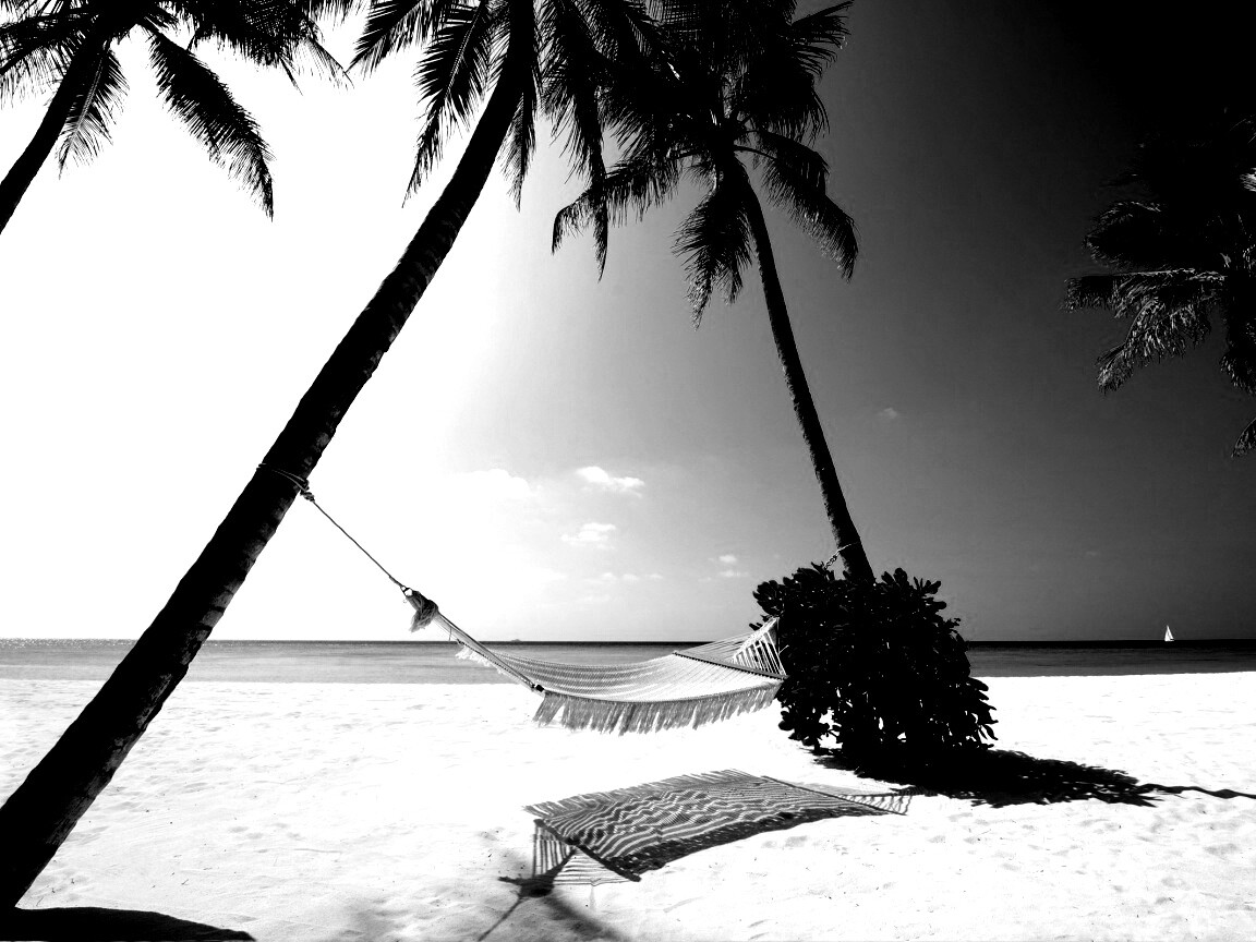 Тропический рай обои