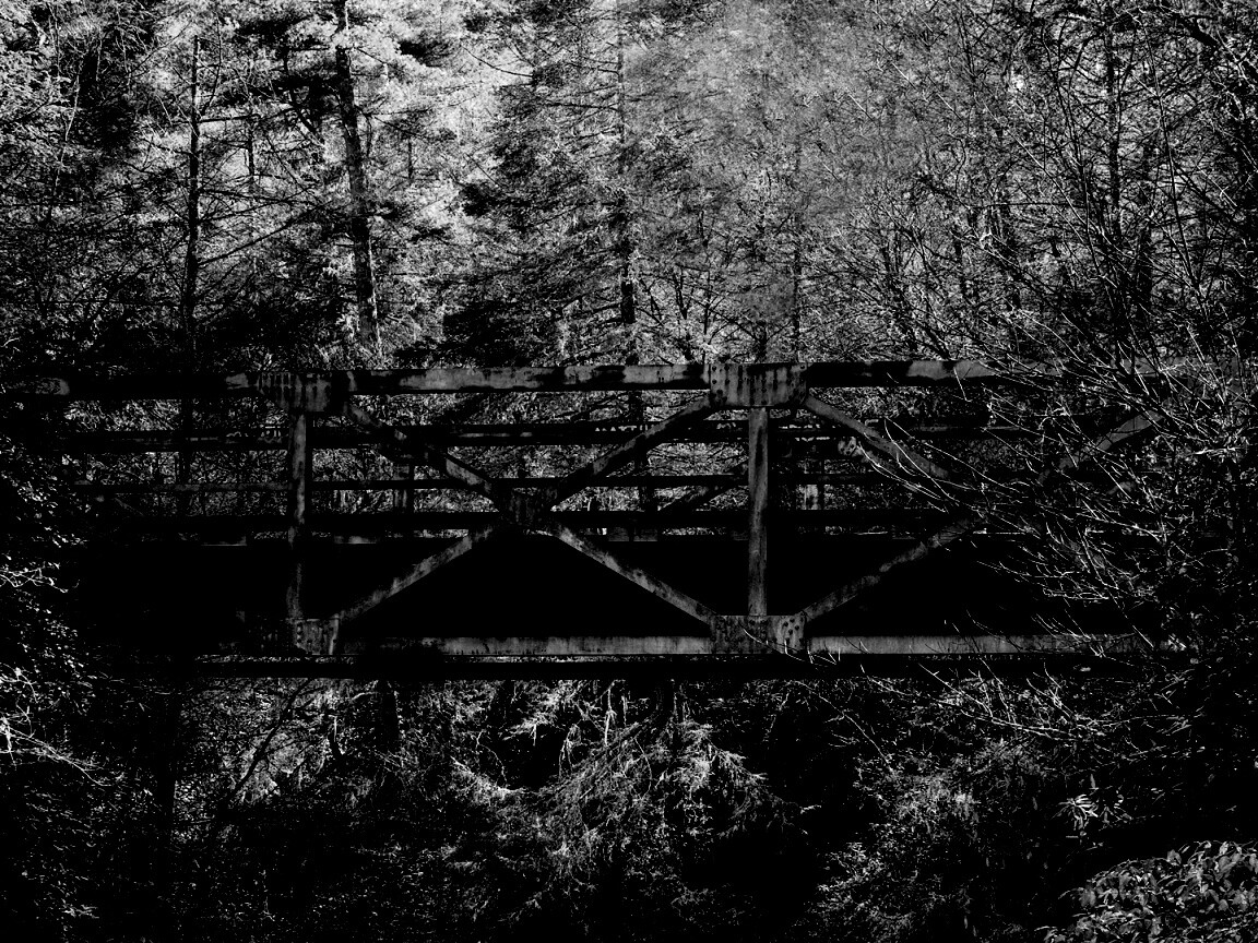 Металлический мост в лесной глуши обои