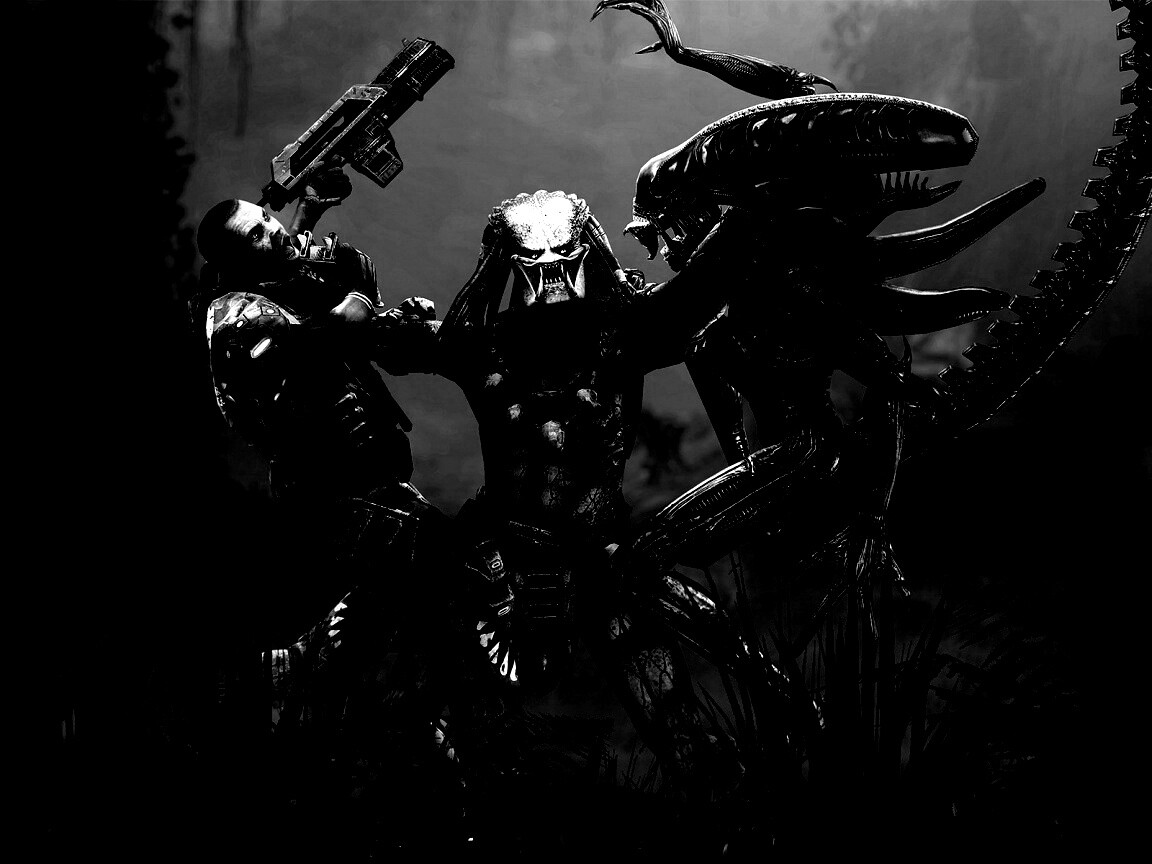 Чужой против Хищника обои