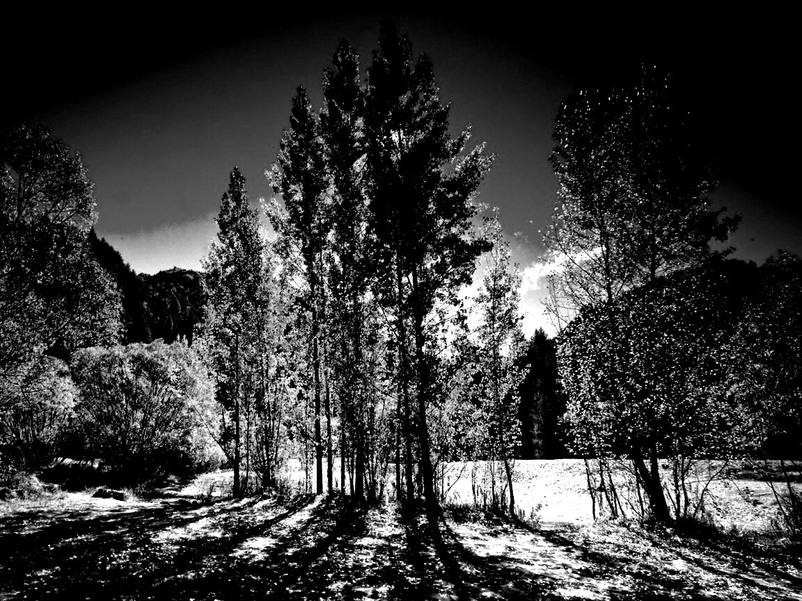 Осень в Новой Зеландии обои