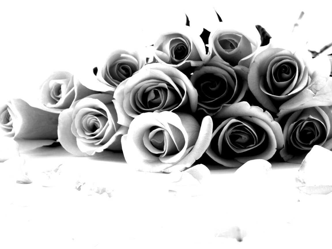 Букет роз обои