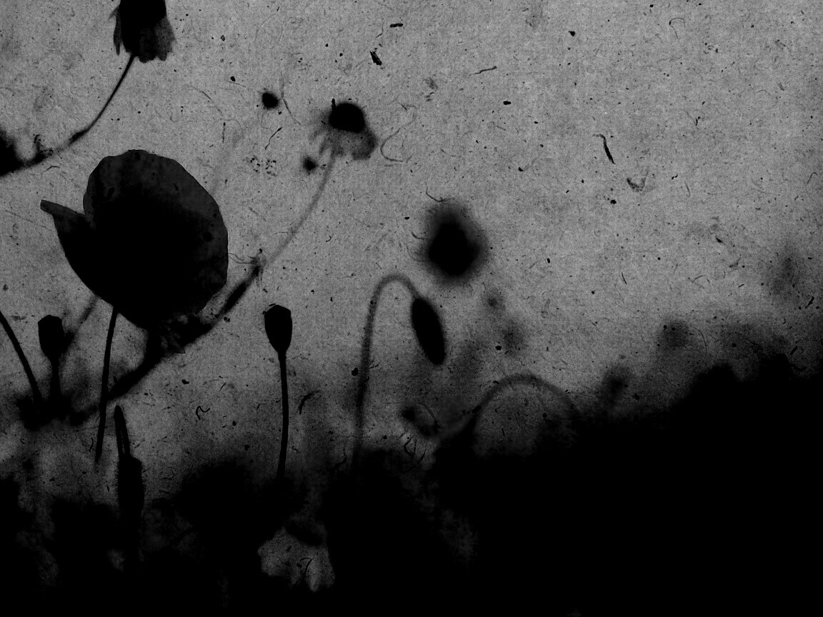 Кровавые цветы в стиле ретро обои