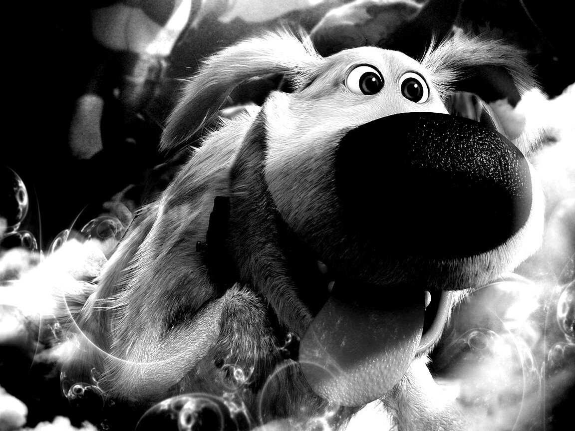 Собака из мультфильма Up обои