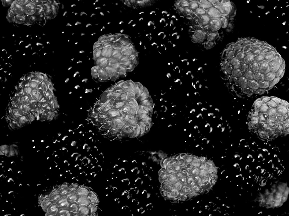 Малина и ежевика обои