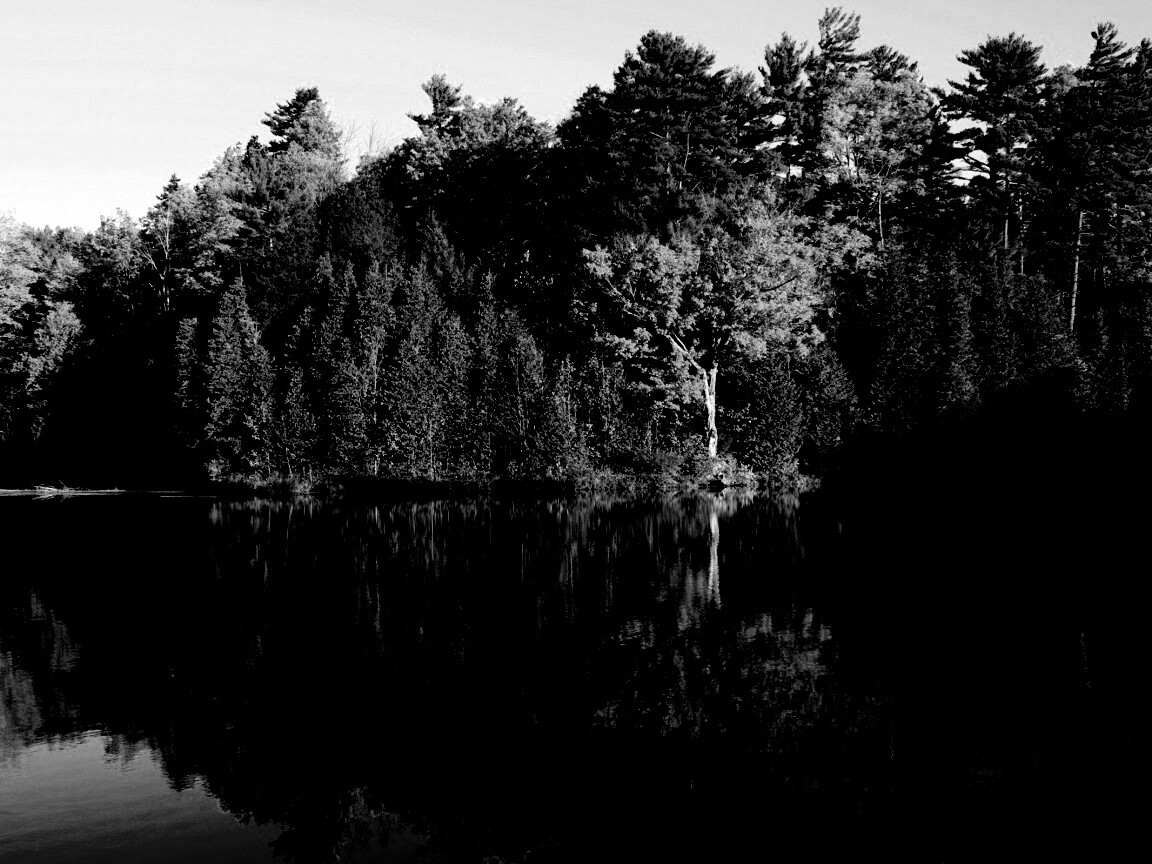 Осенний пейзаж обои