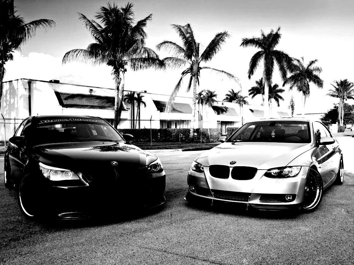 Две БМВ обои