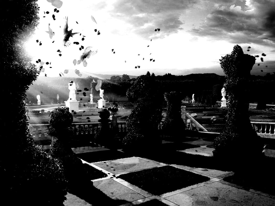 Шахматный сад обои