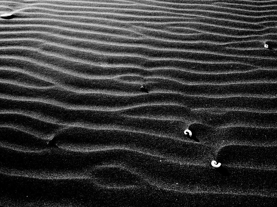 Песок и раковины обои