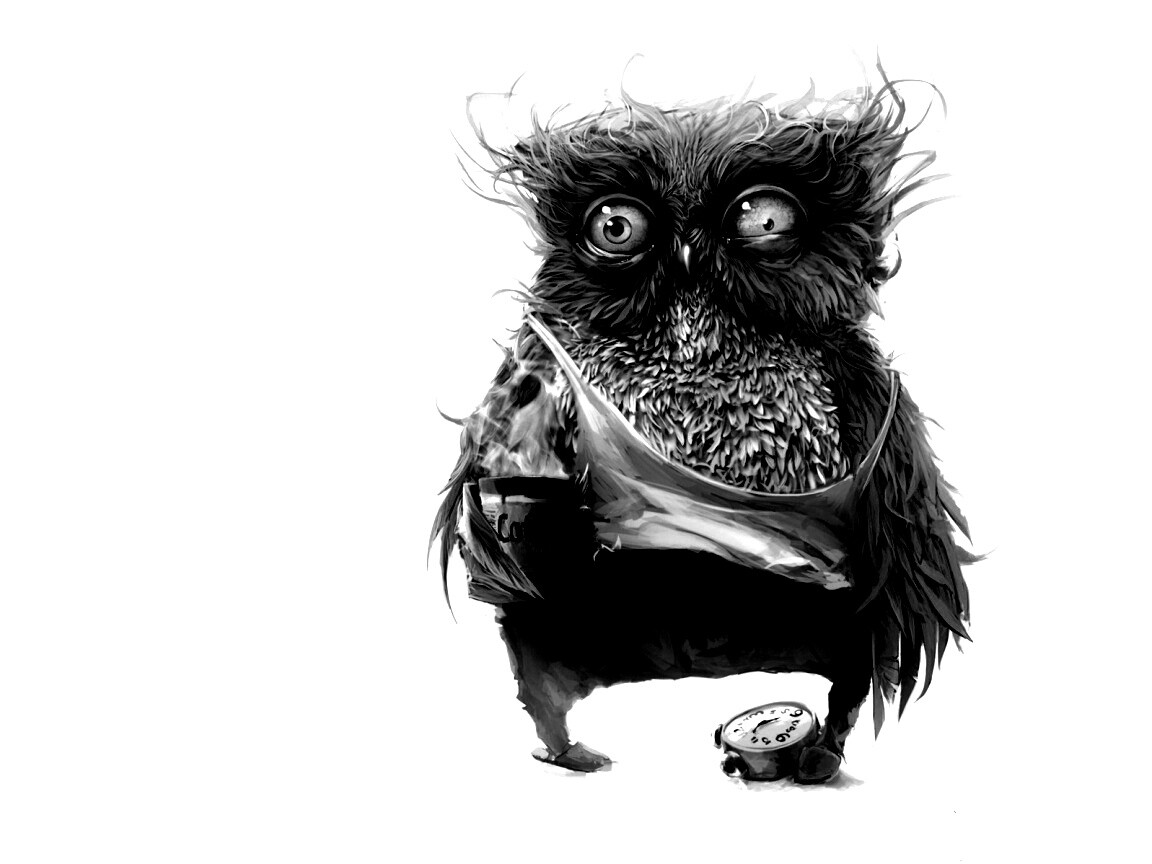 Не спящая сова обои