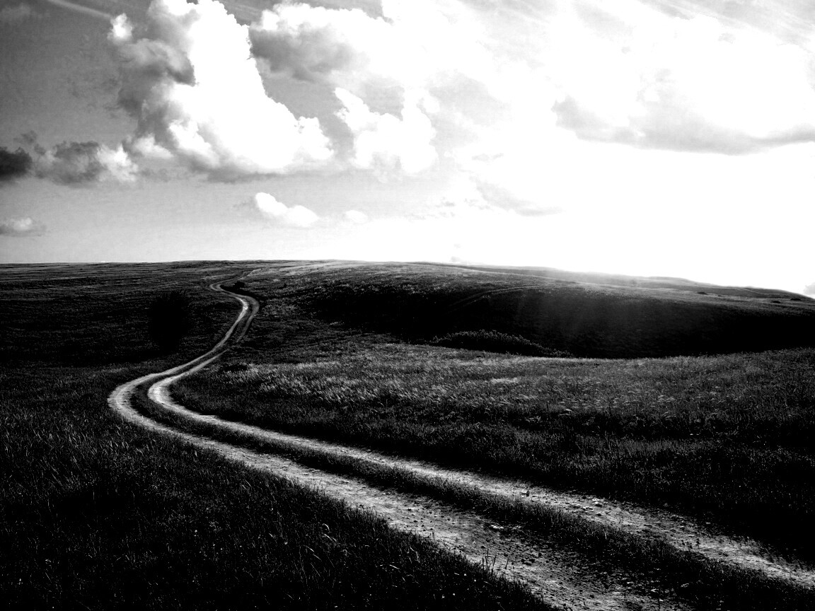 Дорога через луг обои