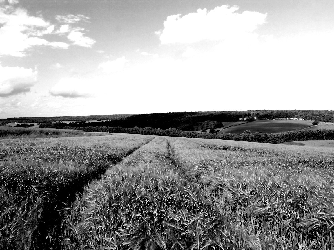 Бескрайние просторы обои