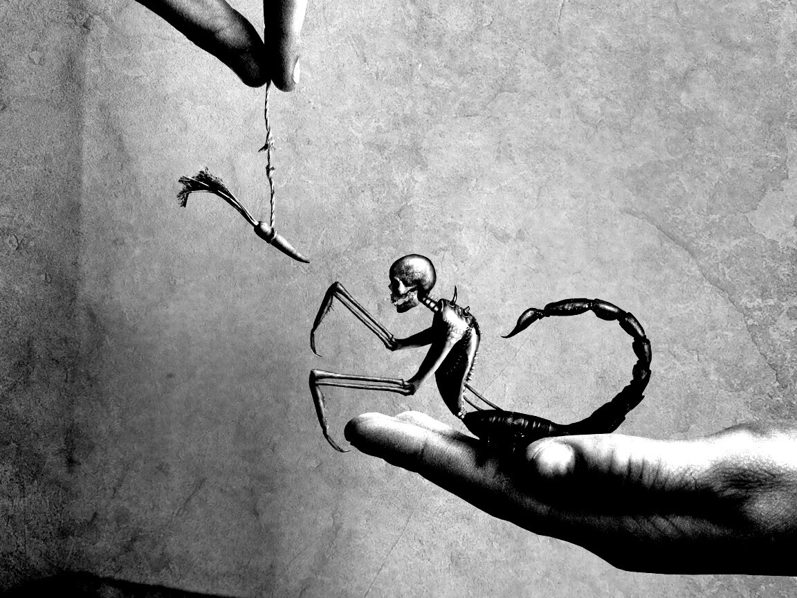 Кормёжка смерти обои