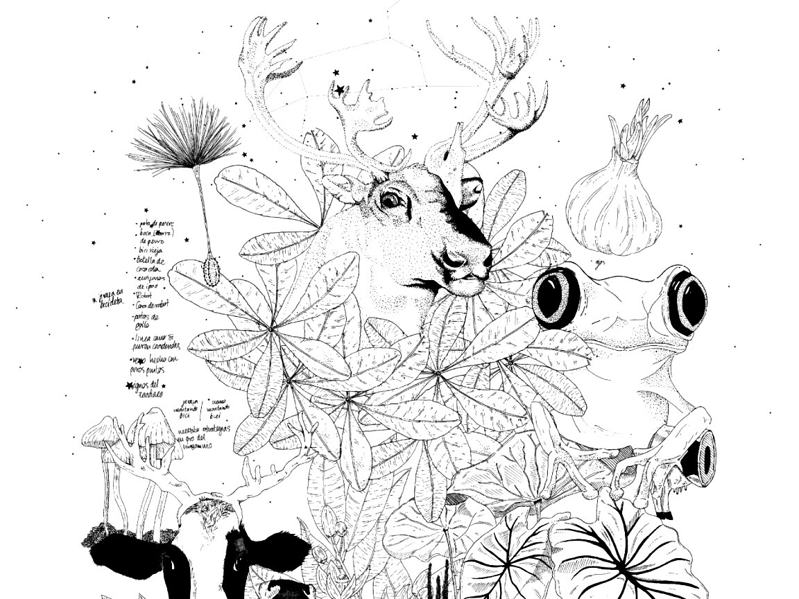 Животные на рабочий стол Apple обои