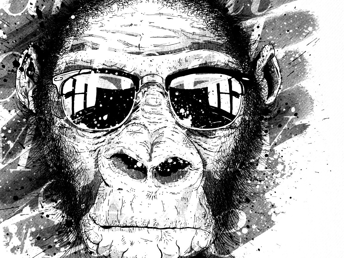 Макака в очках обои