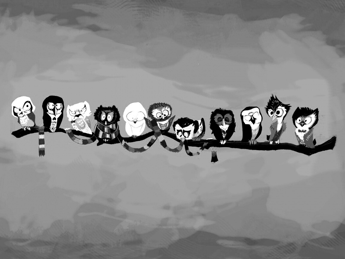 Совы на ветке обои