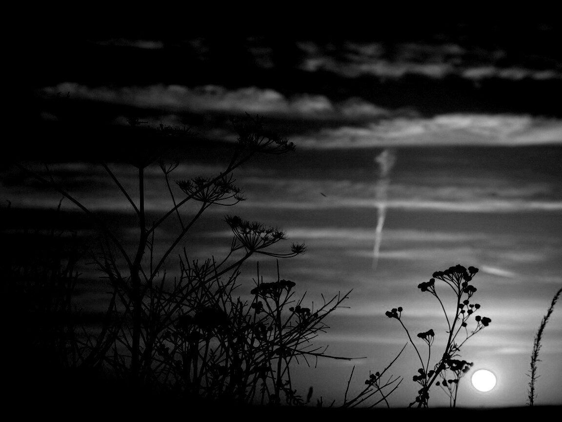 Степной закат обои