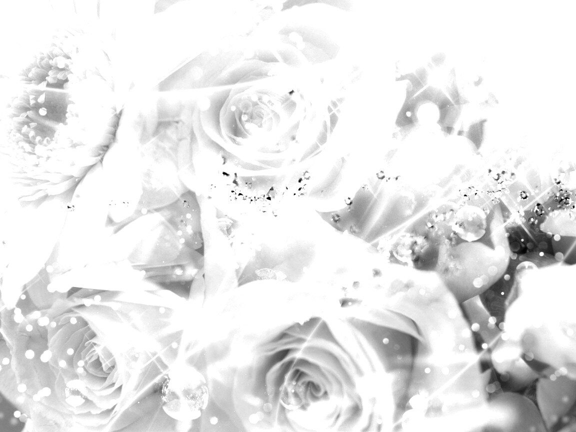 Розово-розовая абстракция с цветами обои