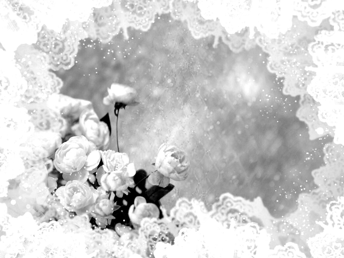 Бежевые кружева и розы обои