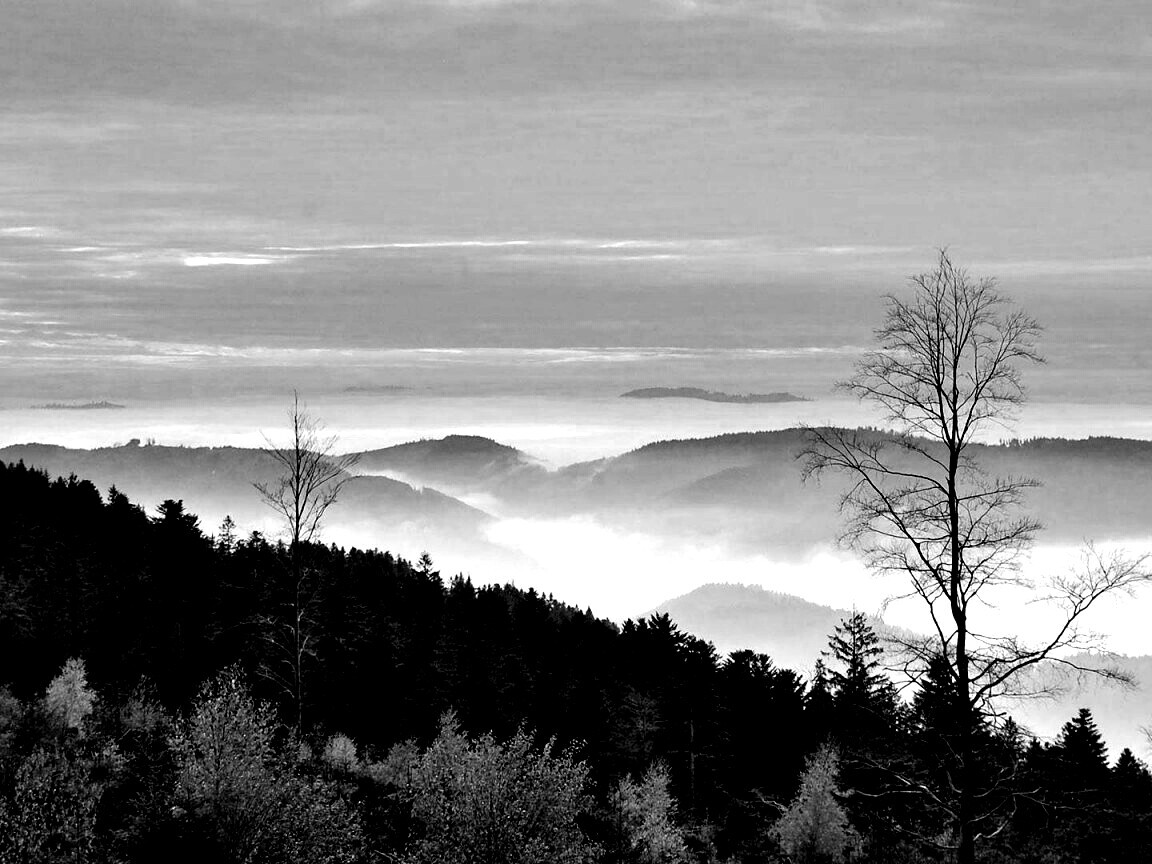 Холмы в тумане обои