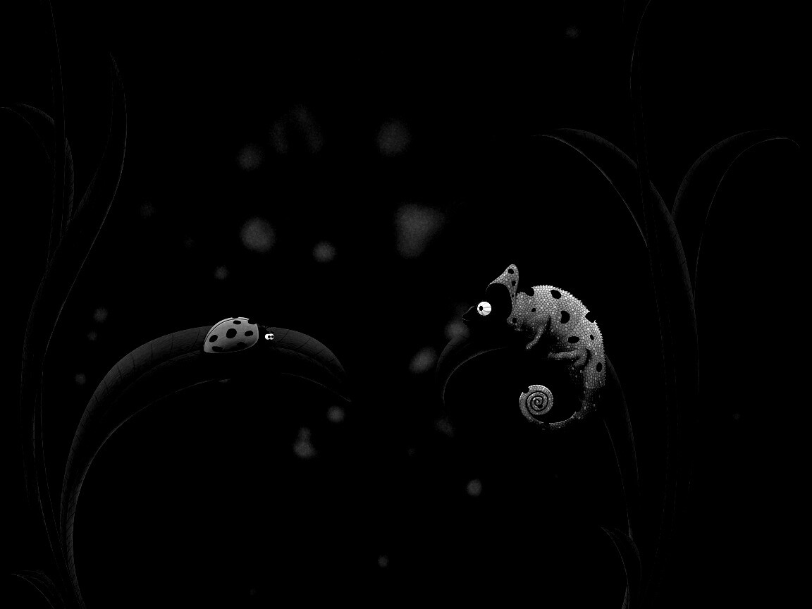 Хамелеон  замаскированный под божью коровку обои