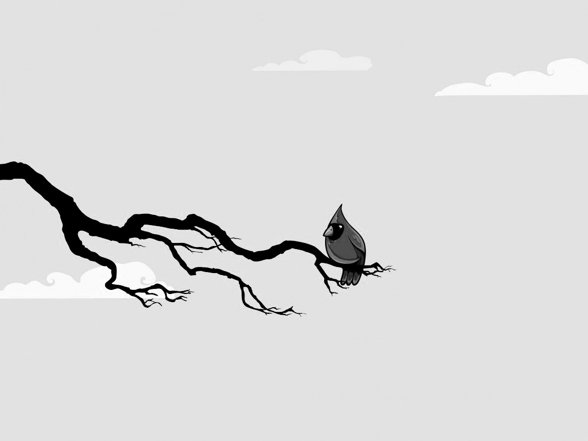 Красная птица на ветке обои