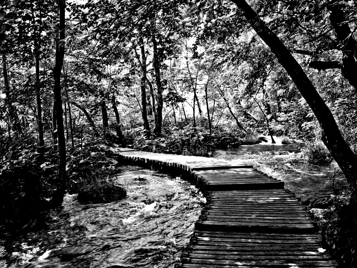 Тропинка над водой обои