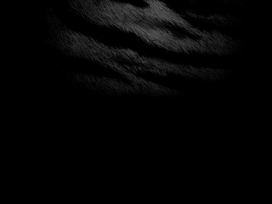 Тигриная шкура обои