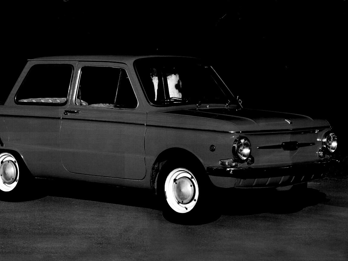 Оранжевый ушастый запорожец обои