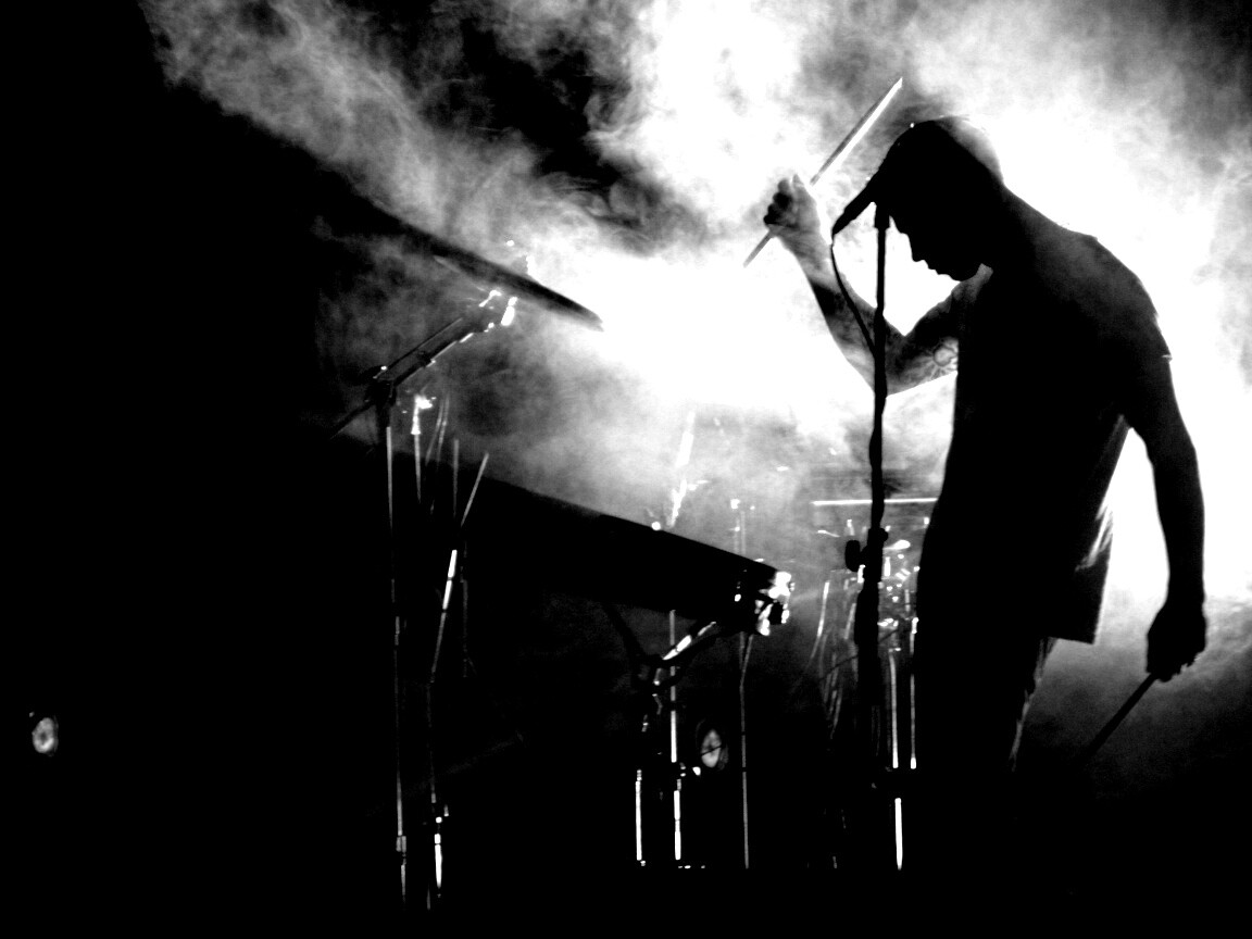 Концер Дельфина обои