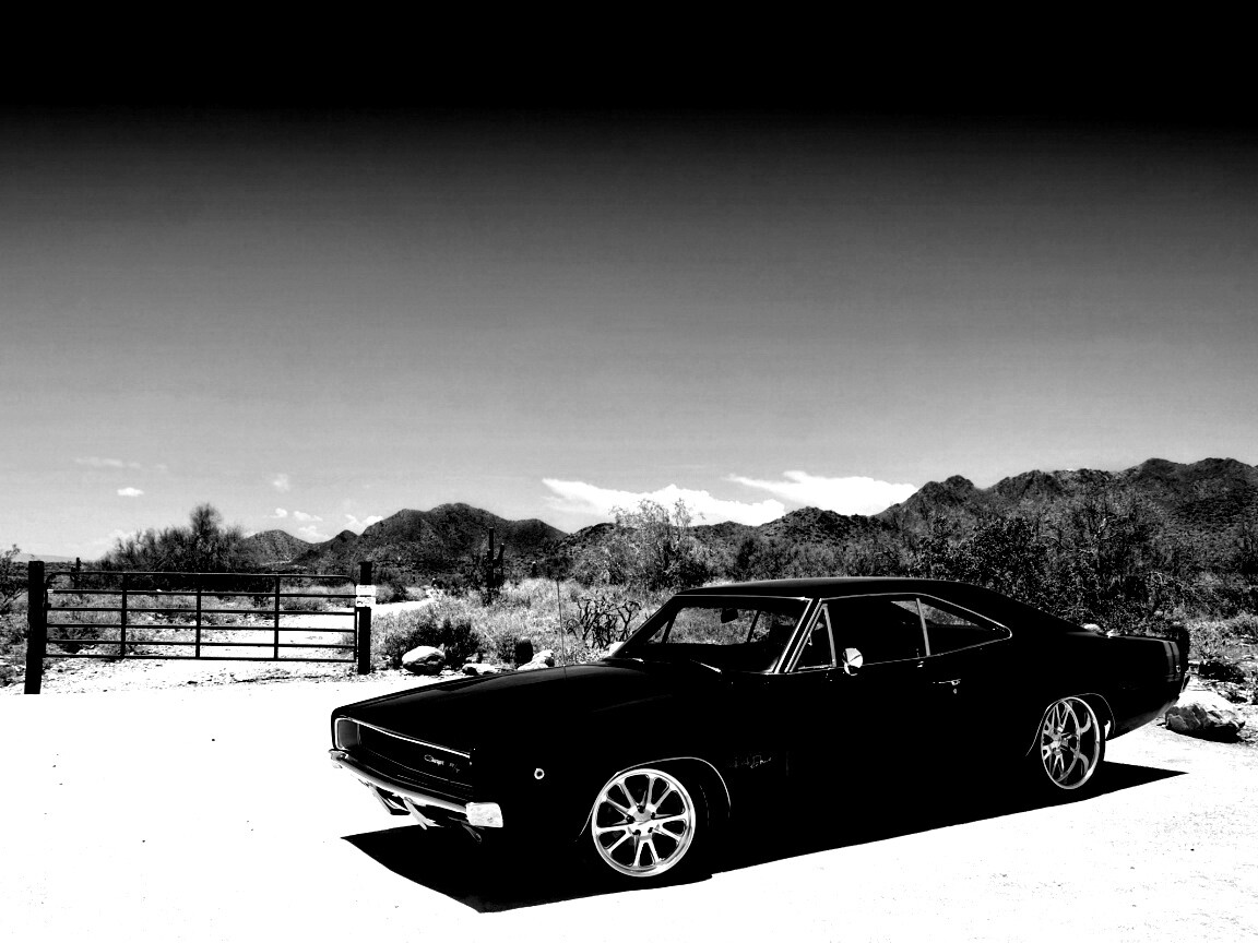 Мускулкар под палящим солнцем обои