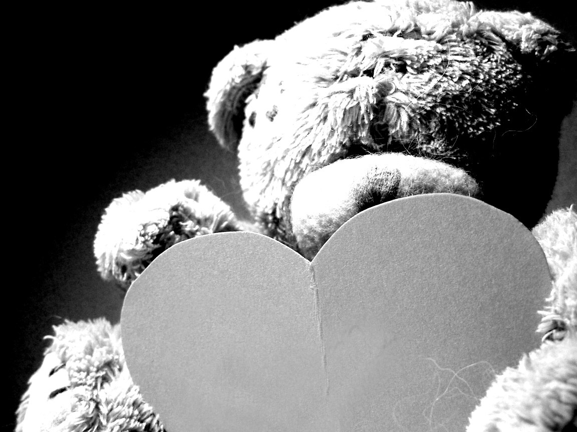 Мишка с сердцечком обои