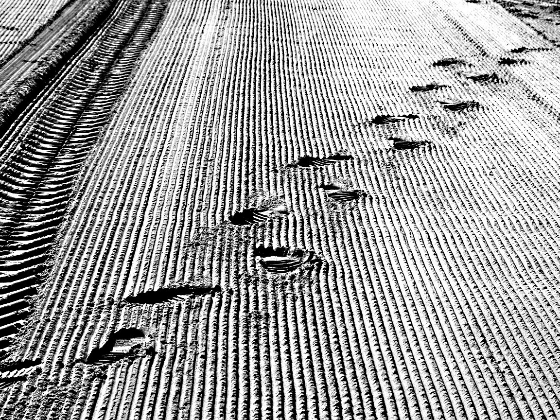 Следы на песке обои