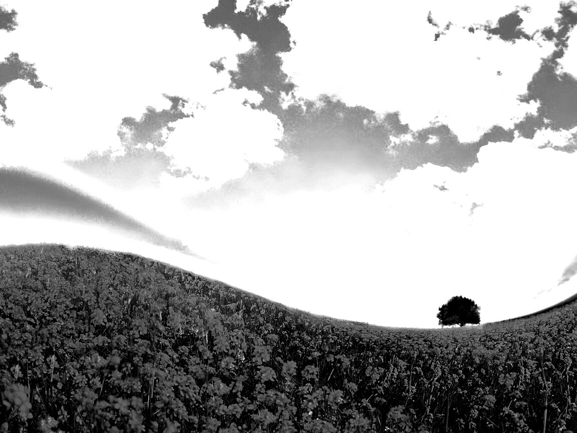 Искаженный мир обои