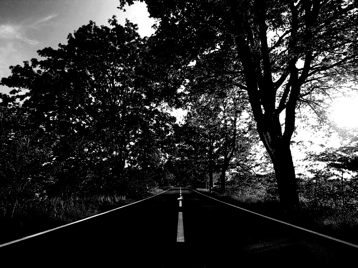 Прямая дорога обои